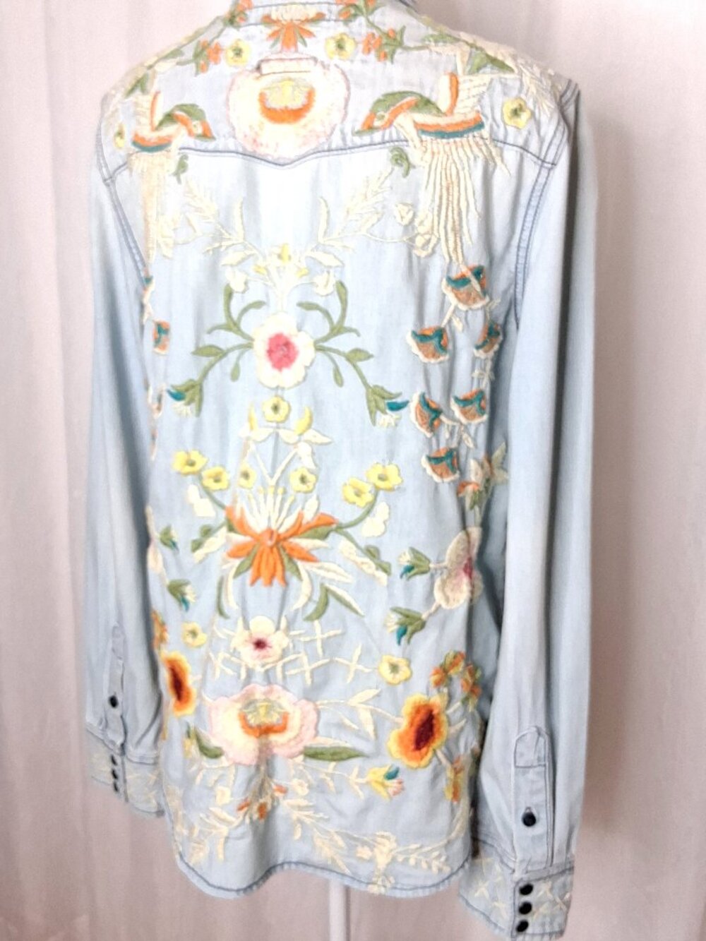 Driftwood Lana Embroidered Light Blue Chambray Snap Front Shirt